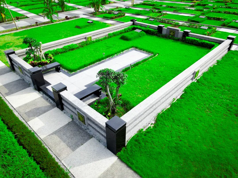 2024.12.09_Super_Family_B-1